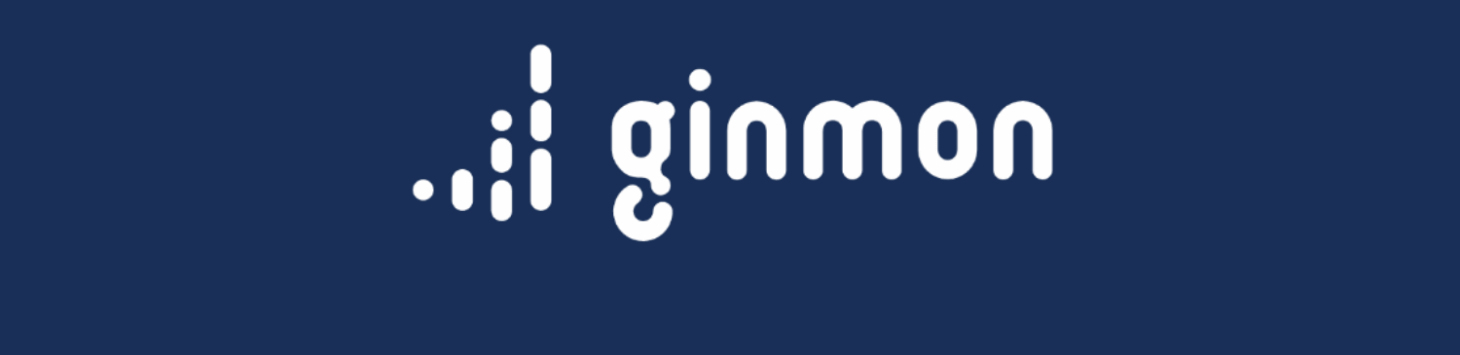Ginmon – Die einfache und renditestarke digitale Vermögensverwaltung